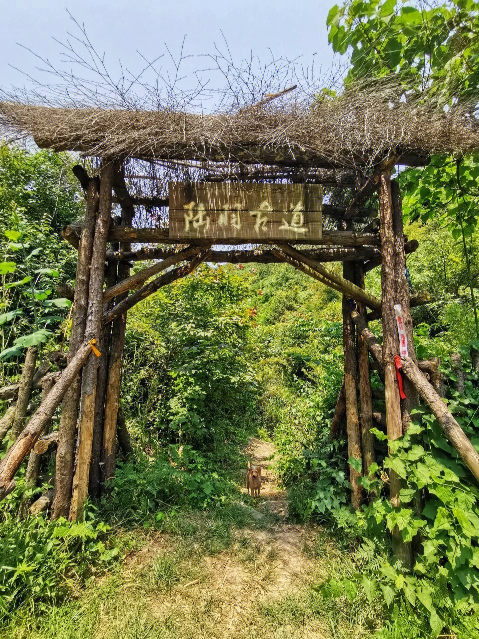 湖州陆羽古道线路图图片