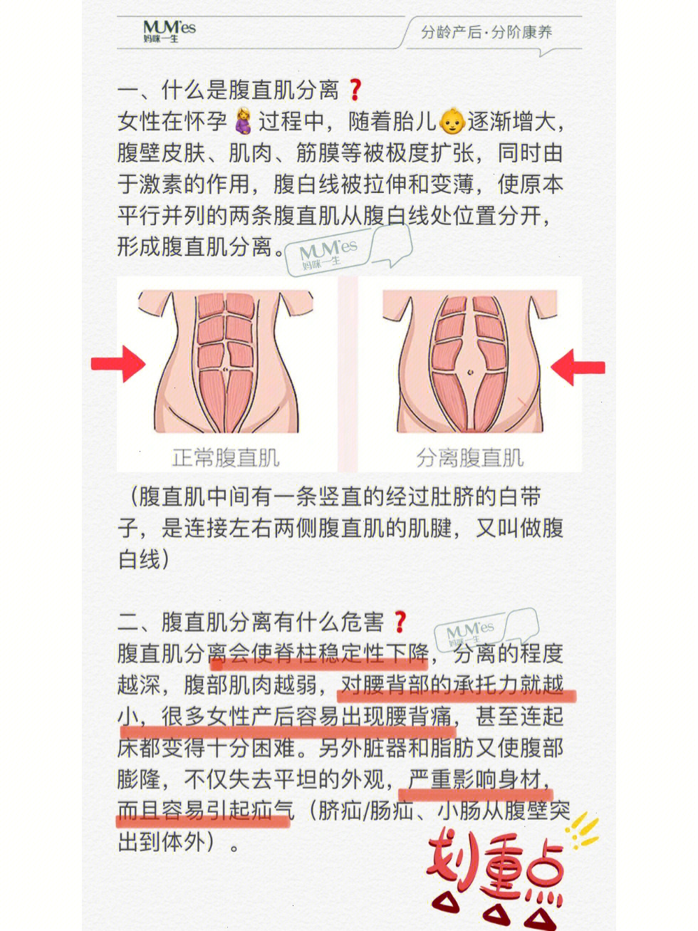 产后妈妈必看腹直肌分离修复妈咪一生