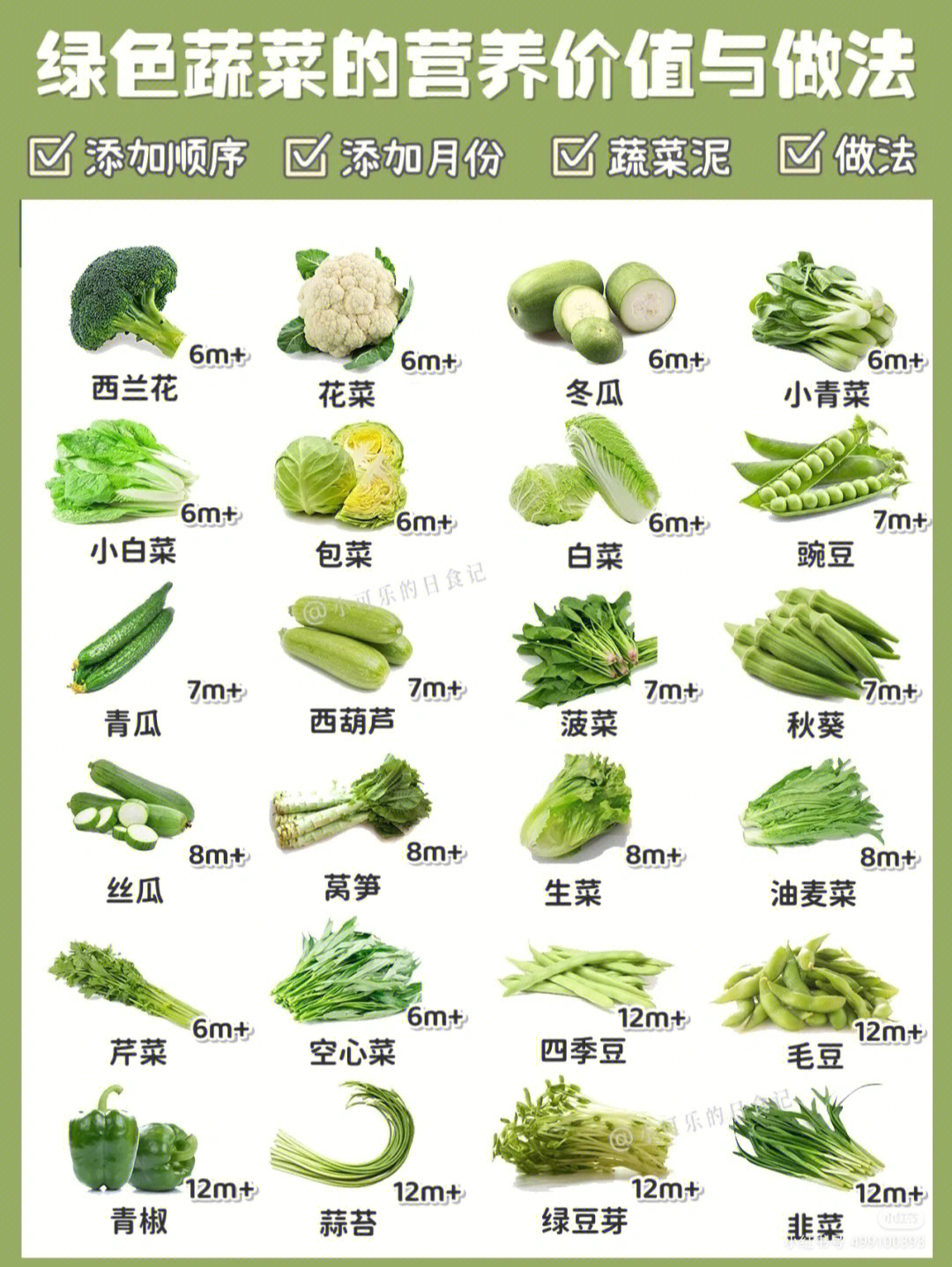 蔬菜属性一览表及图图片