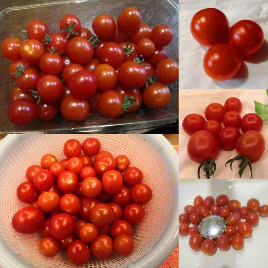 小番茄的功效与作用图片