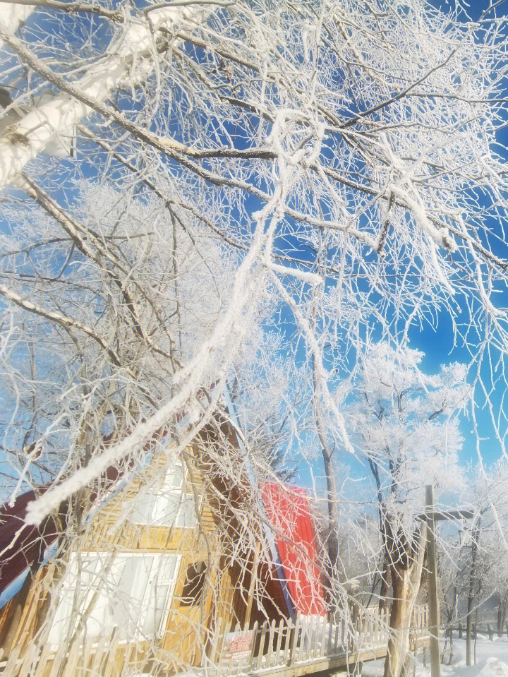 今日份长白山露水河国际度假区之日出和雾凇