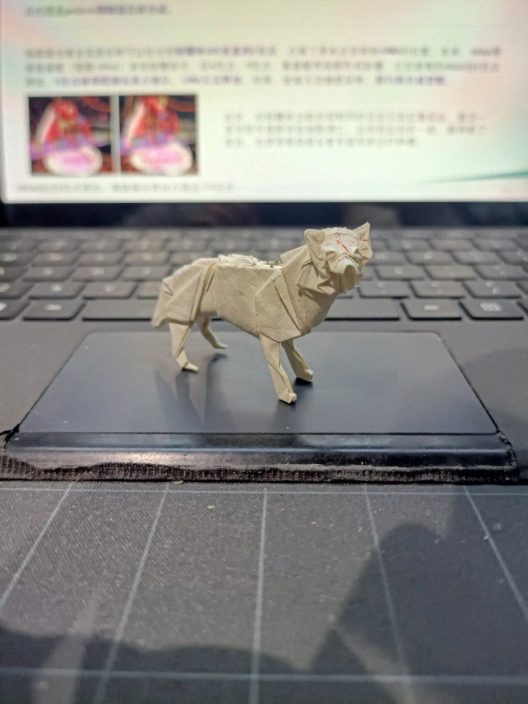 加藤折纸狼图片