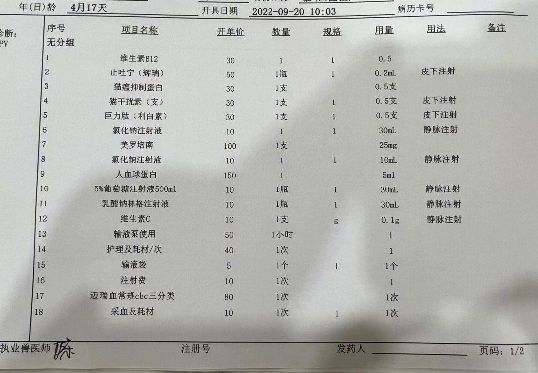 猫瘟怎么治疗图片