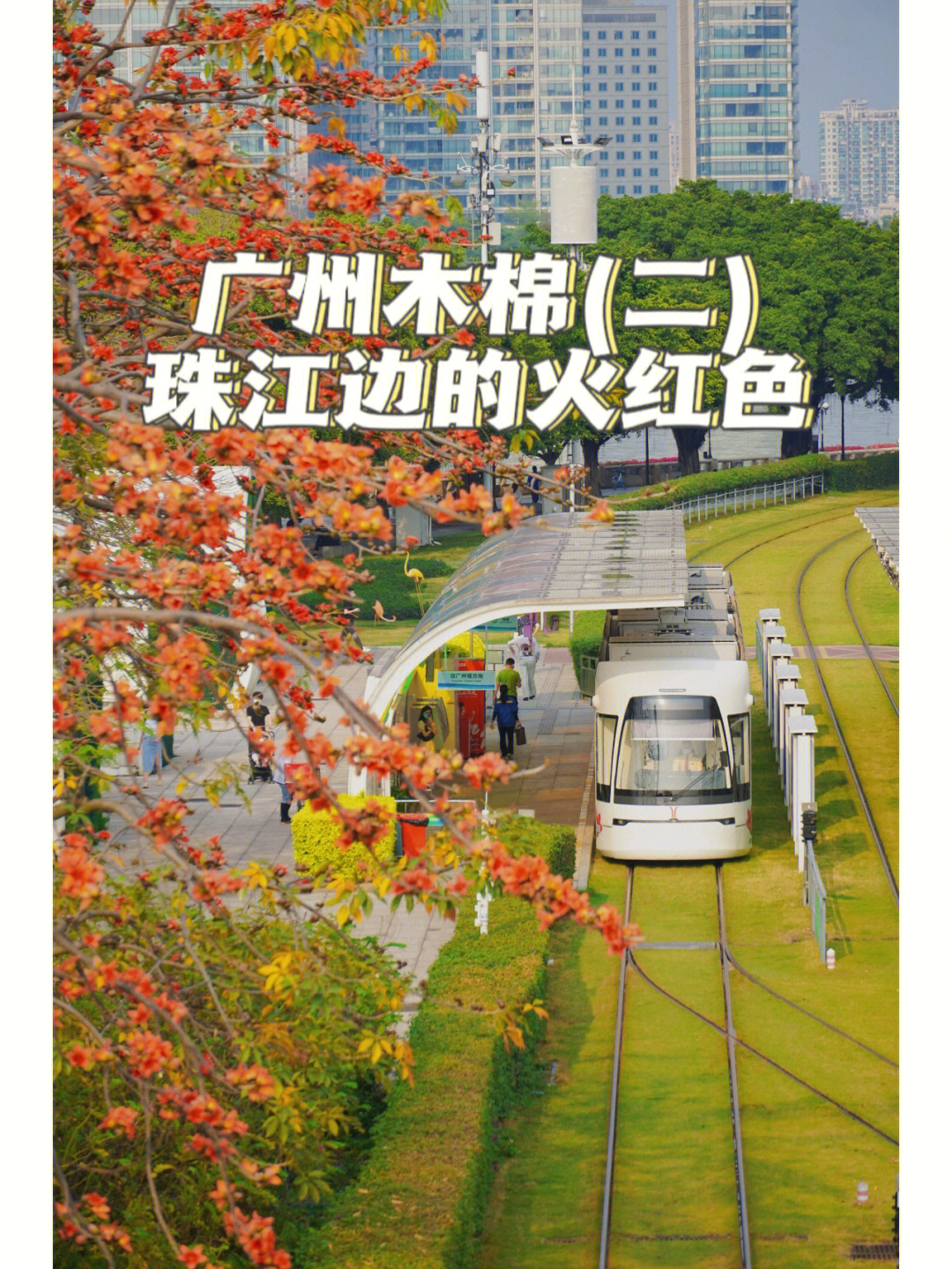 广州磨碟沙公园门票图片