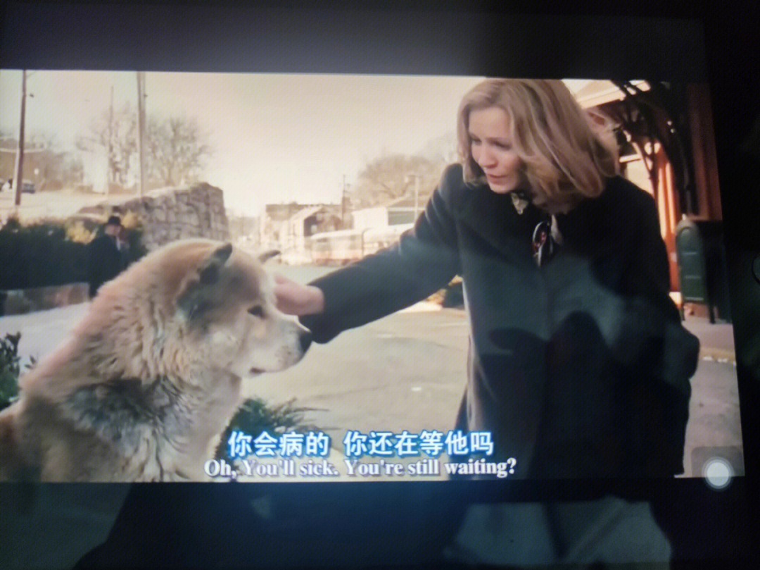 湄公河哮天犬真实故事图片