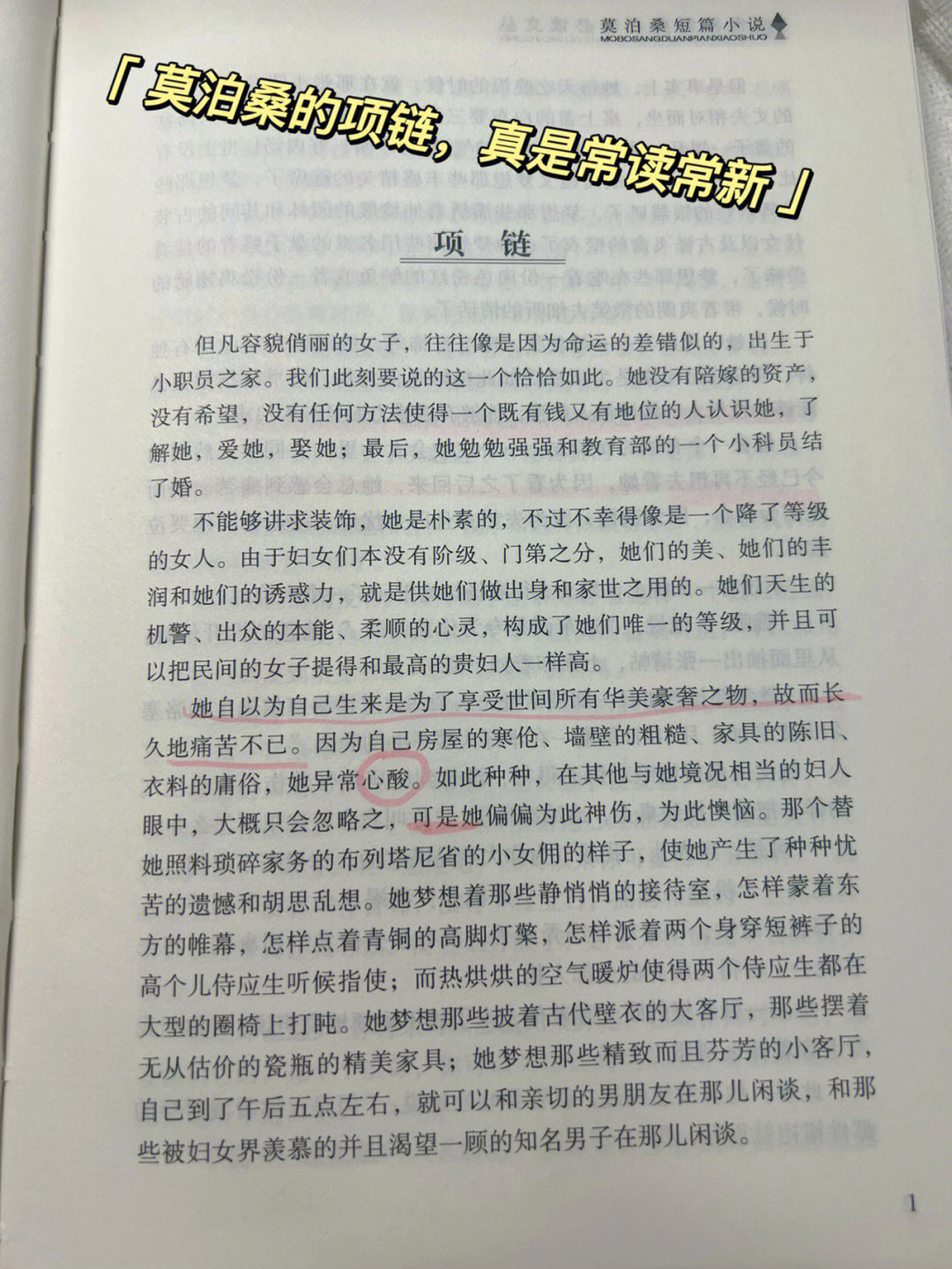 项链莫泊桑笔记图片