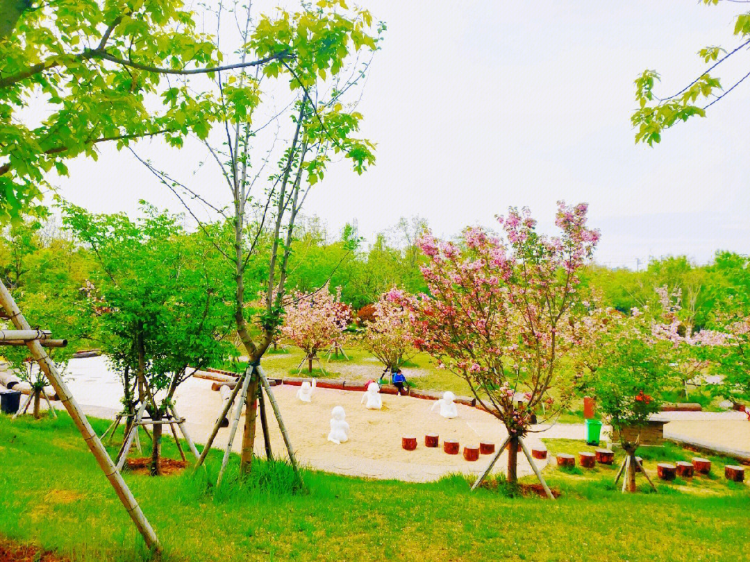 郑州蝶湖公园亲子乐园图片