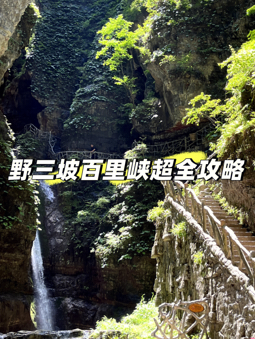 野山坡的景物介绍图片