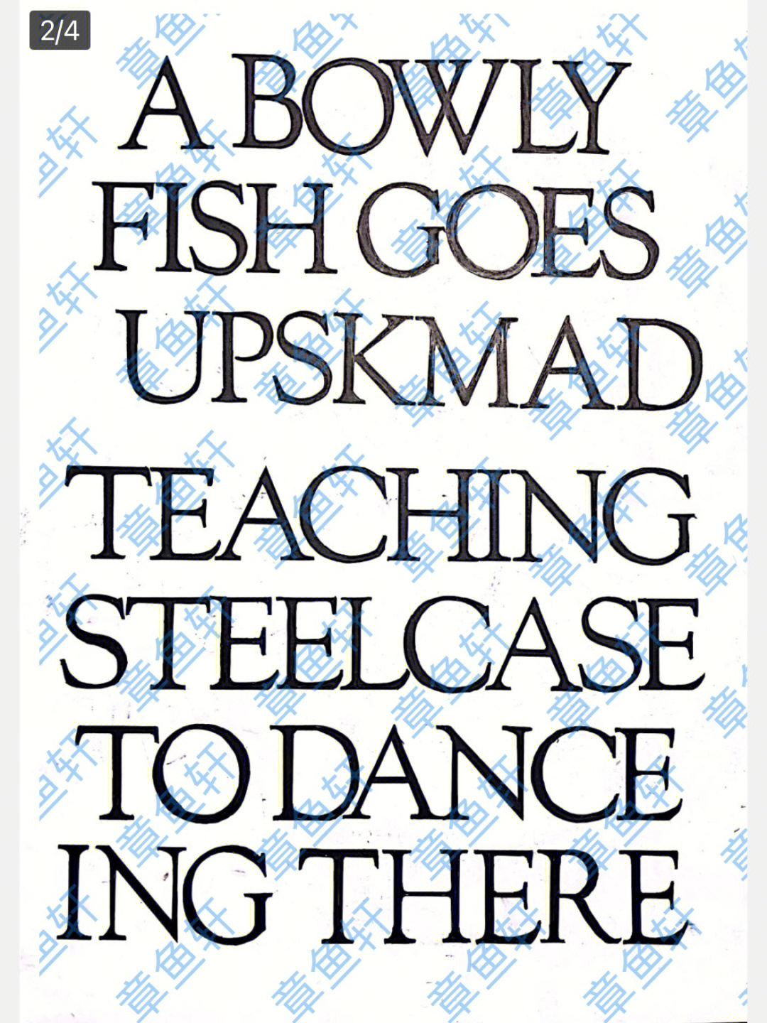 zebra fish字体设计图片