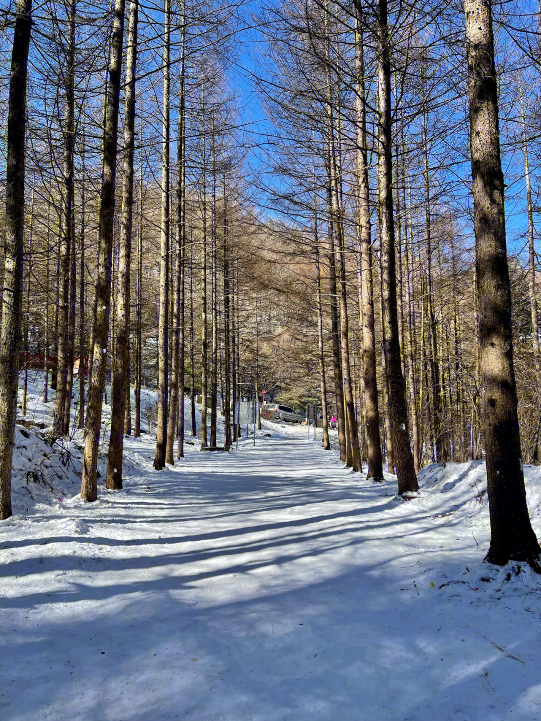 冬日61雪后秦岭