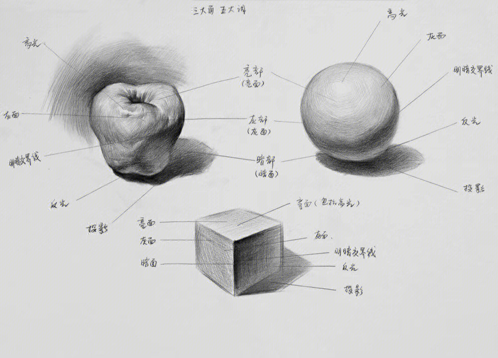 素描单体超级课件讲解