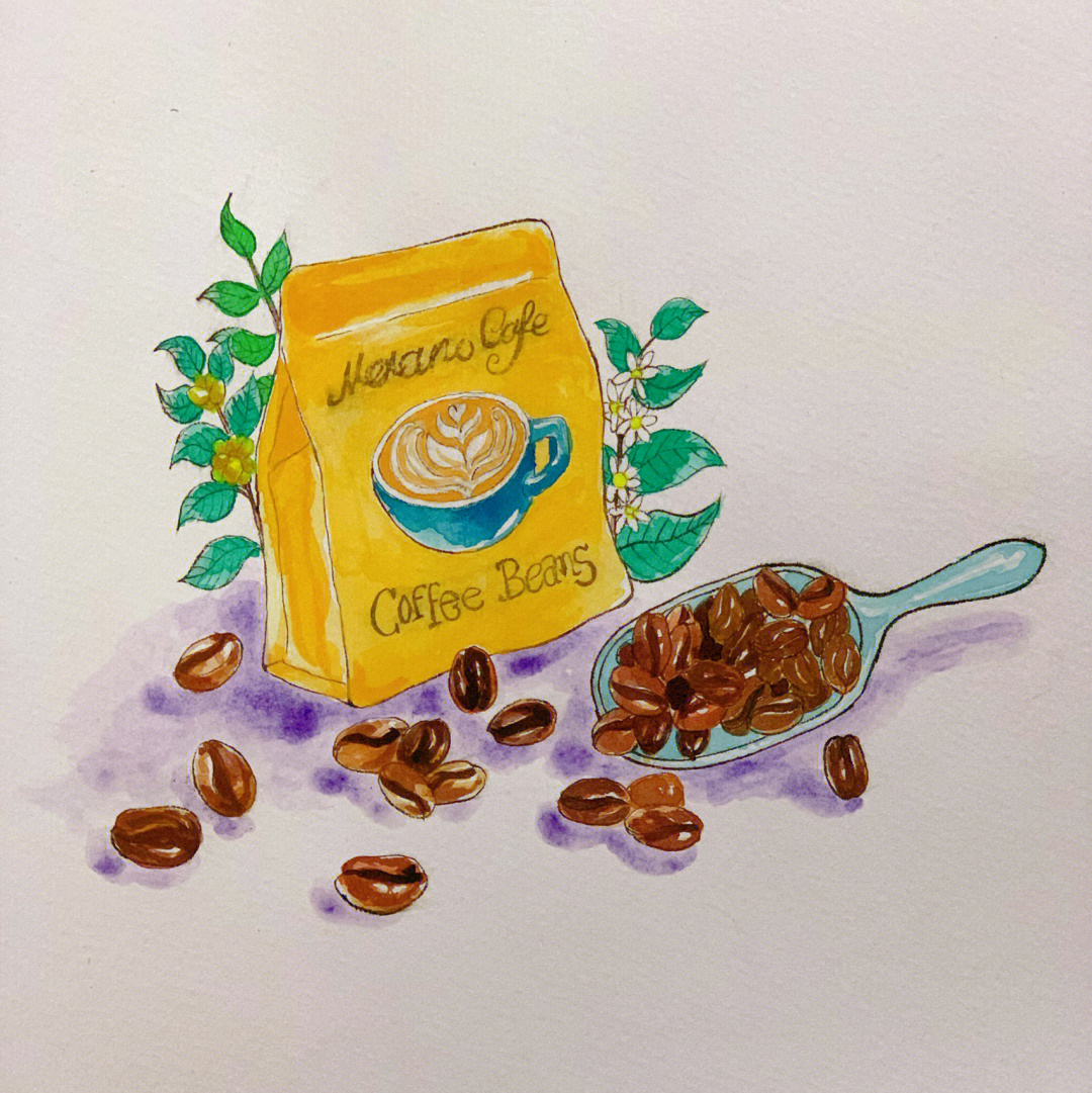 水彩咖啡豆