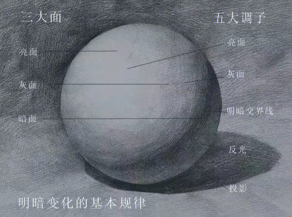 素描三大面五大调图解图片