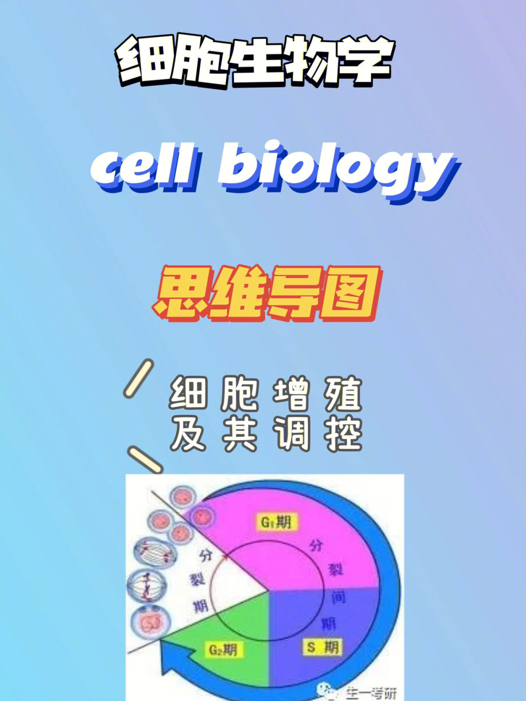 细胞生物学思维导图细胞增殖及其调控