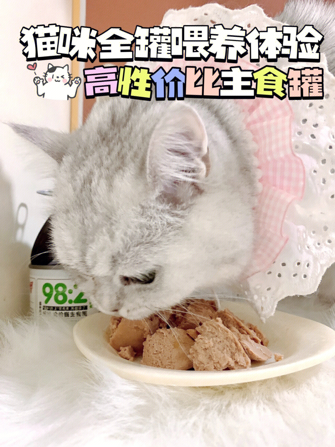 我家猫咪终于实现主食罐自由啦06