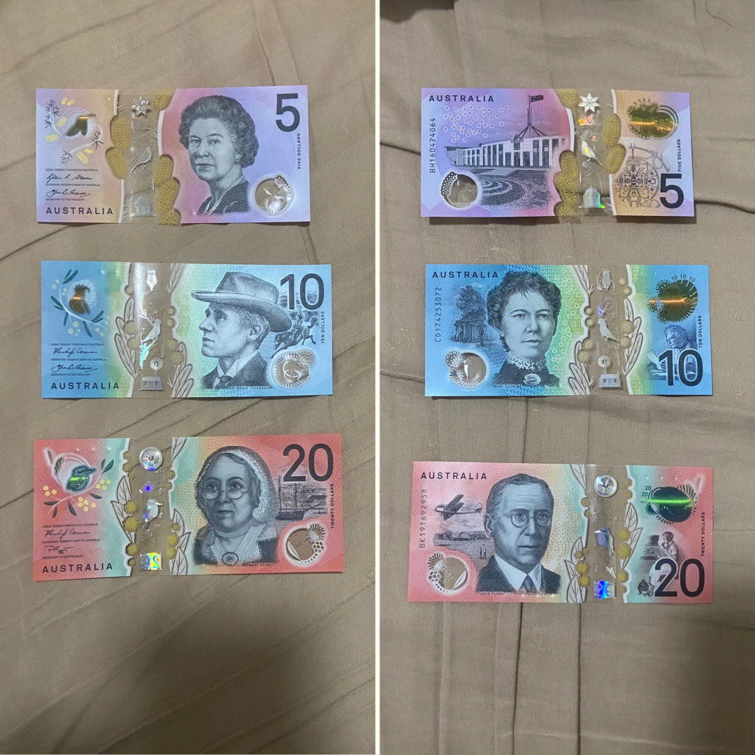 澳大利亚的钱长什么样图片