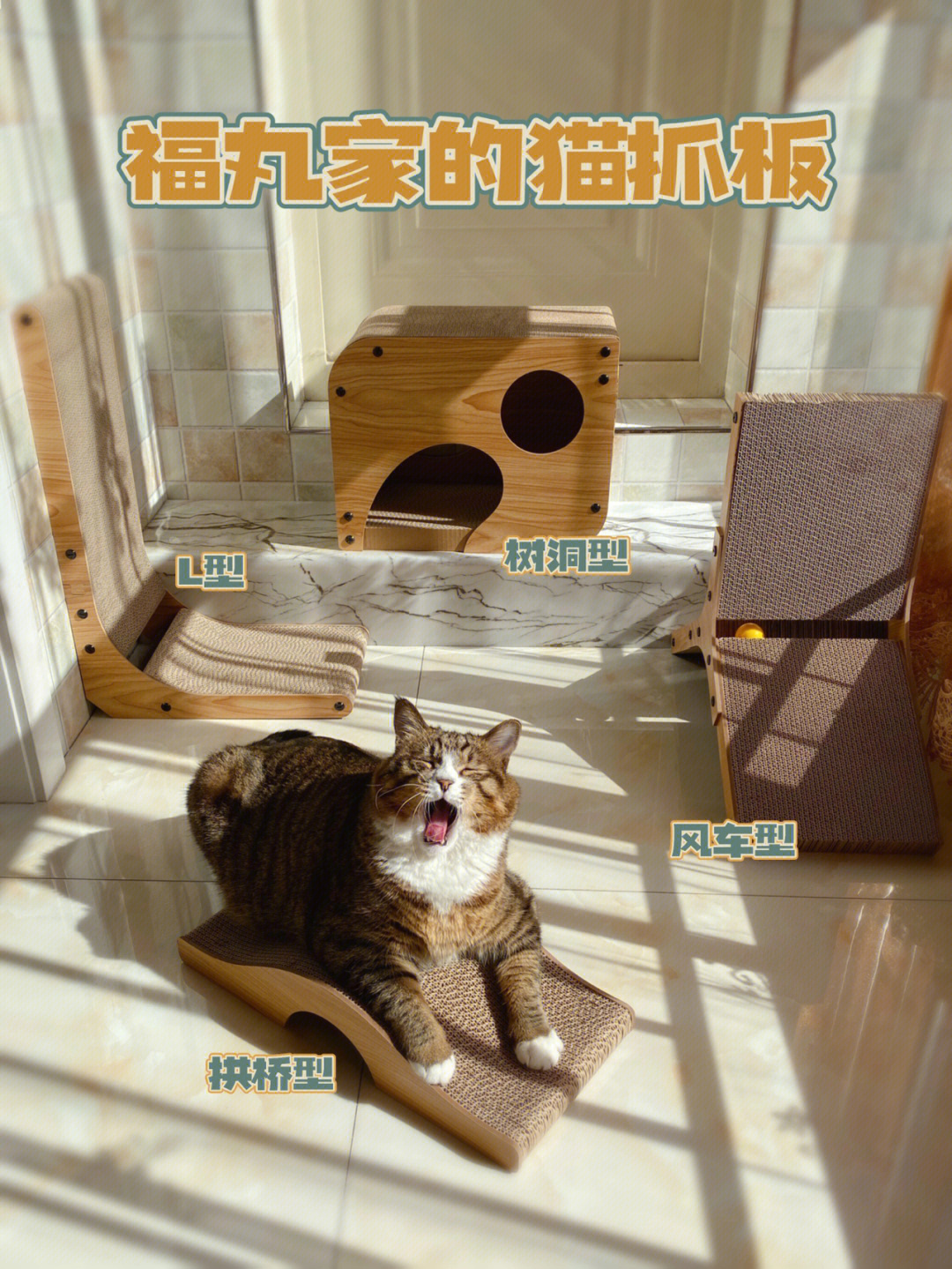 重庆猫小颖图片