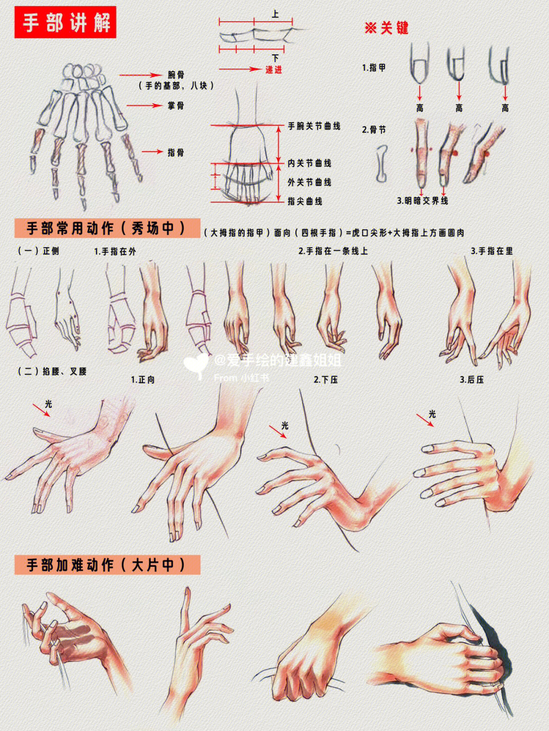 服装手绘教程手部最全考研必用手