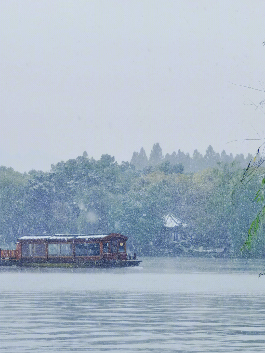 水汽氤氲像水彩像油画又像水墨画#杭州下雪#西湖雪景#享受风雪