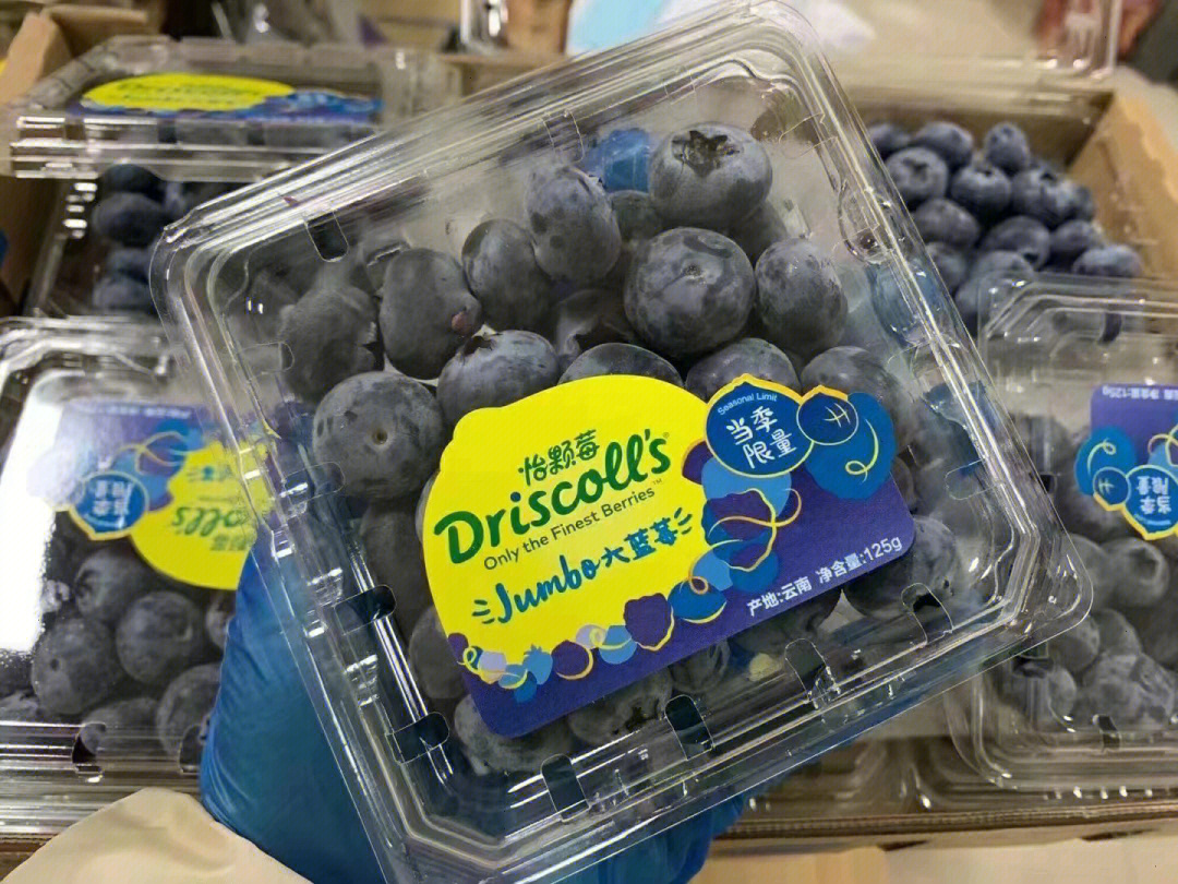 怡颗莓蓝莓等级L12图片