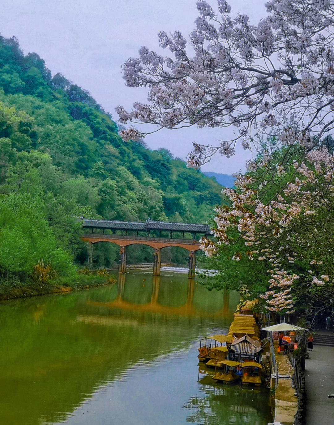 汐厼旅行凤栖山康道深呼吸