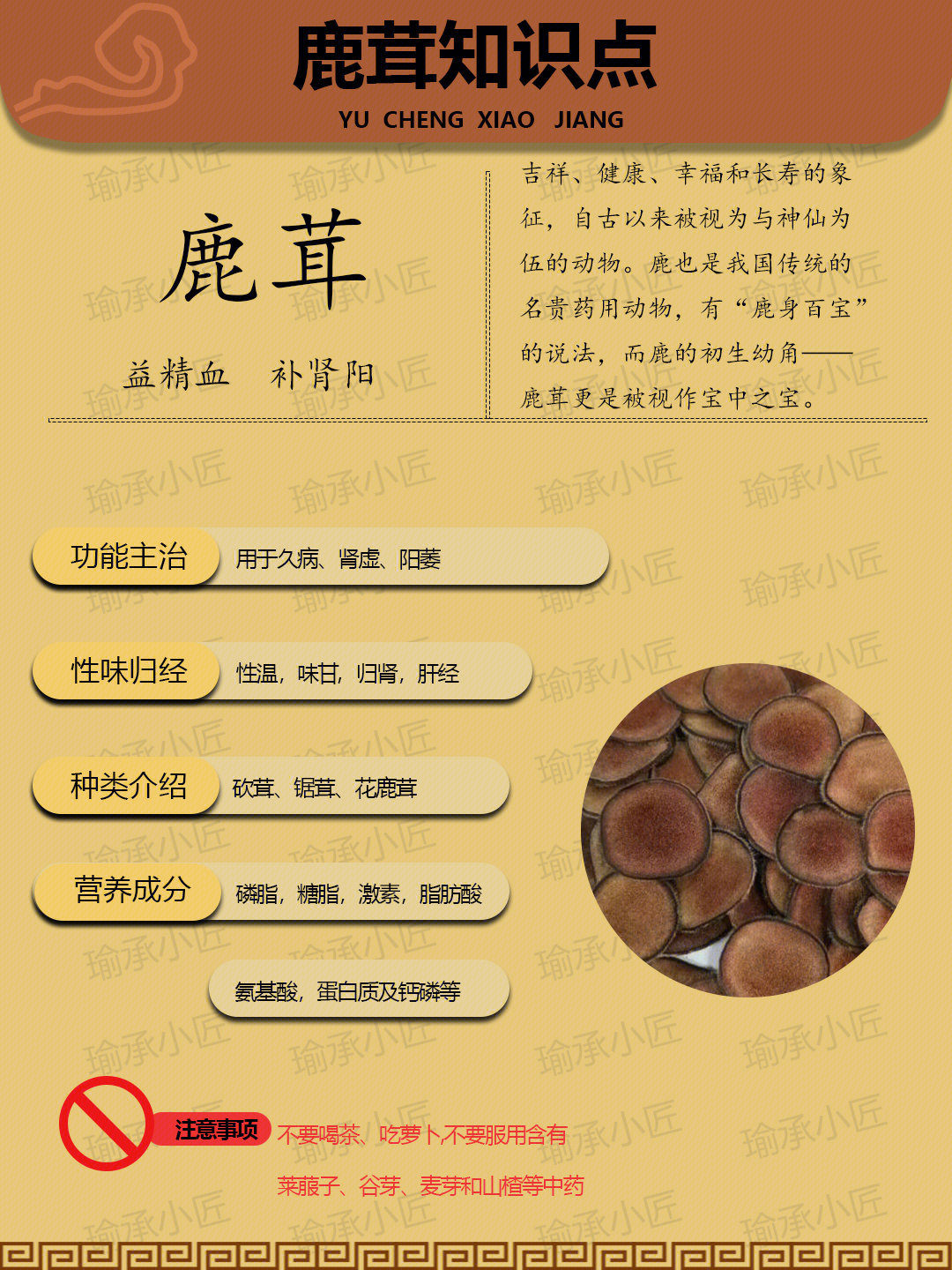 鹿茸的功效与吃法适合男性的药材