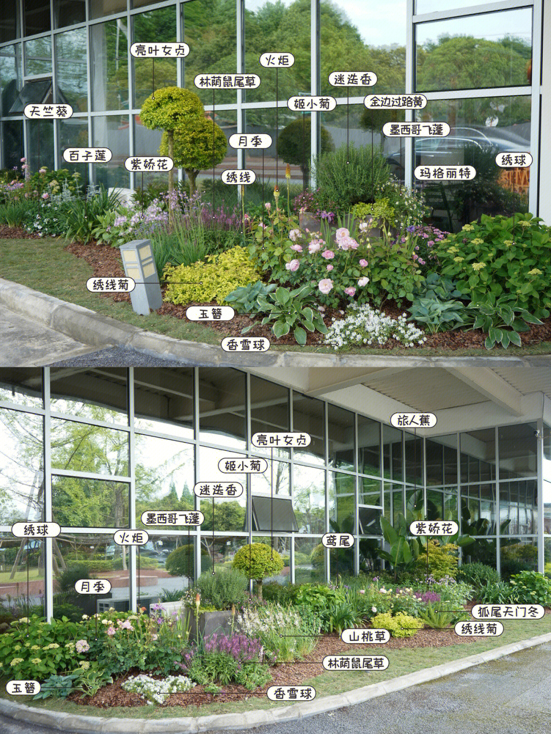 花坛设计及植物配置表图片