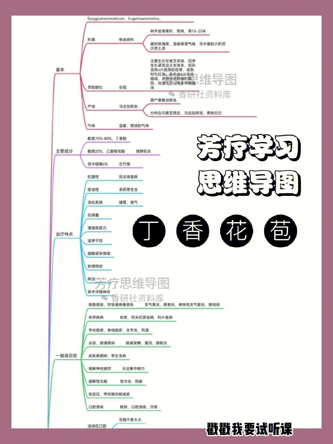 丁香花板书图片