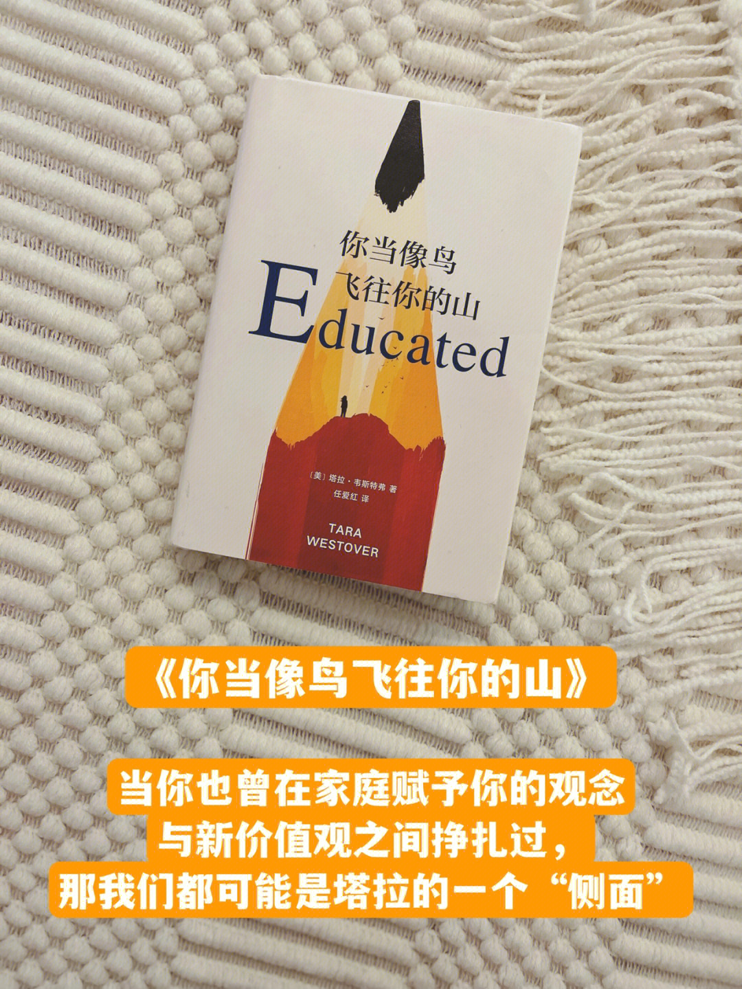 好书你当像鸟飞往你的山读书笔记