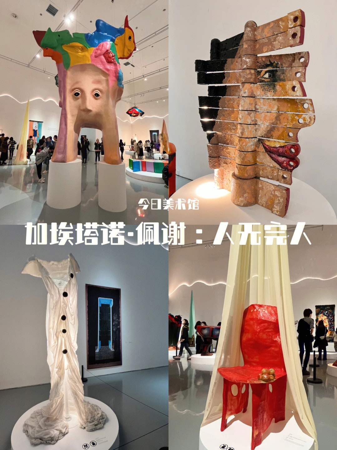 加埃塔诺佩谢设计展今日美术馆