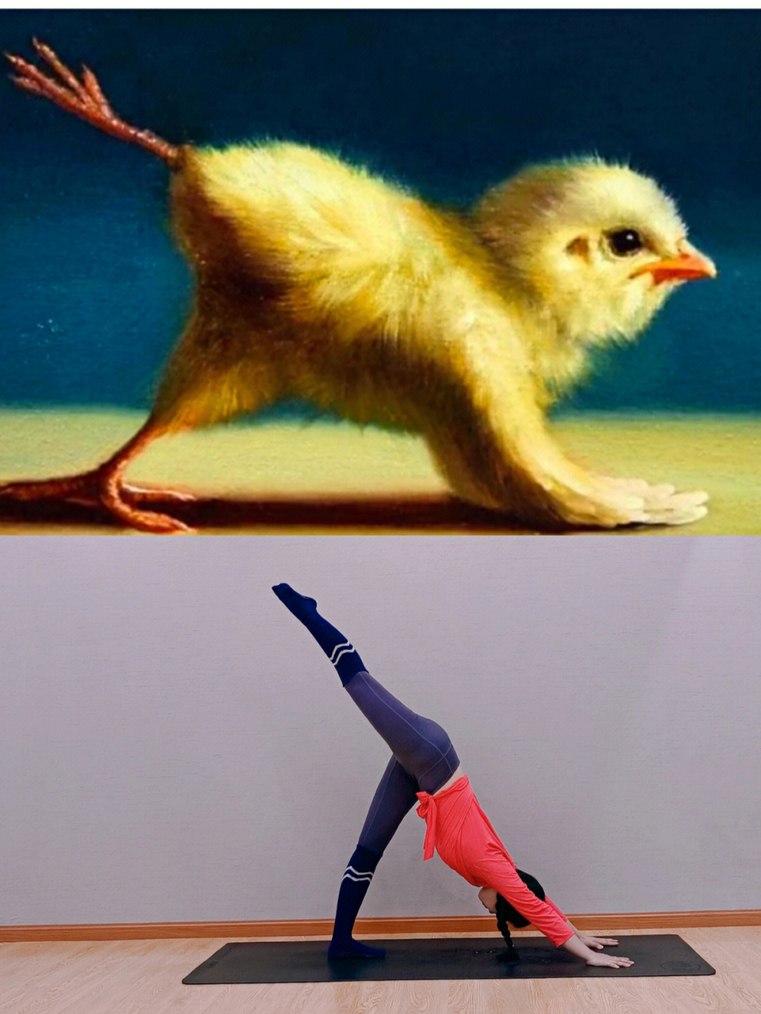 模仿小鸡的动作图片