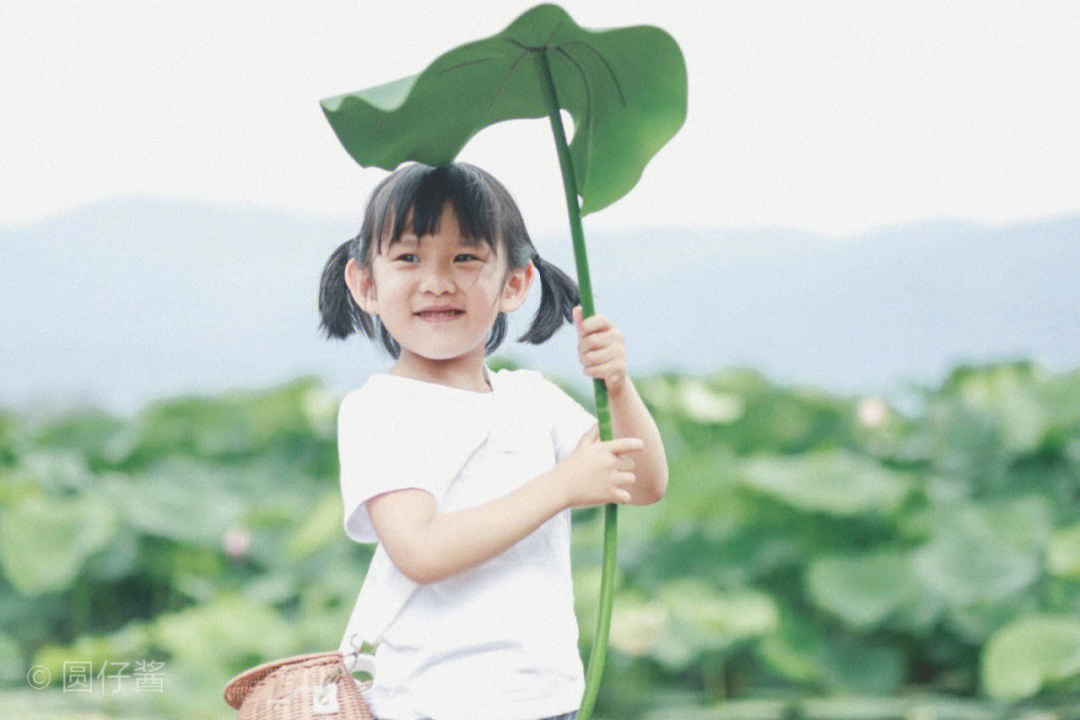 头顶荷叶的小女孩图片