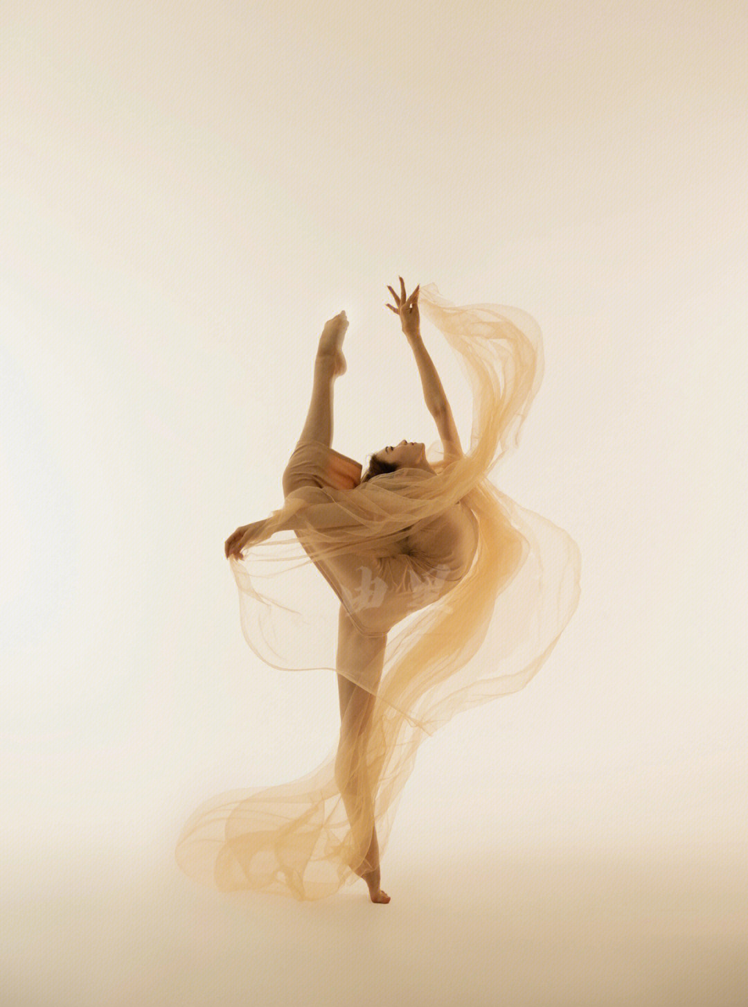 舞蹈艺术照片造型图片