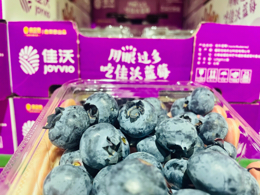 新发地佳沃云南山地蓝莓鲜果当季限定75