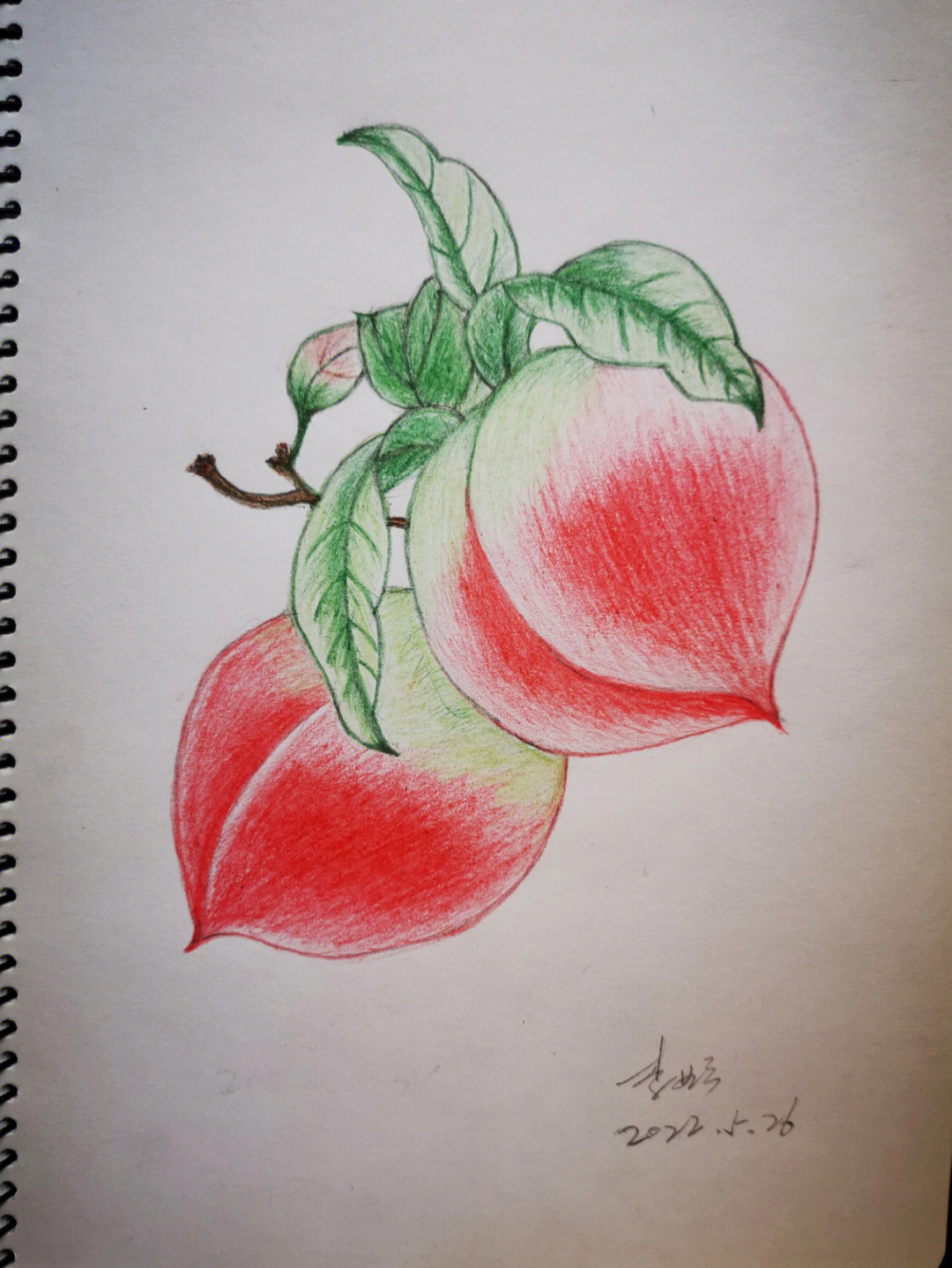 水蜜桃怎么画 画法图片