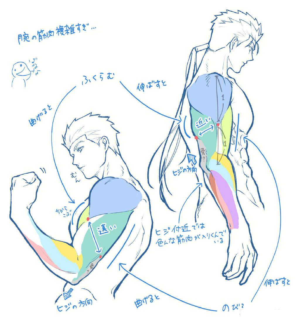 绘画参考丨男性肌肉结构人体动态素材