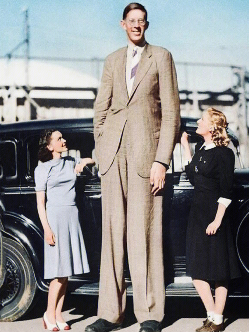 世界上最高的人罗伯特图片