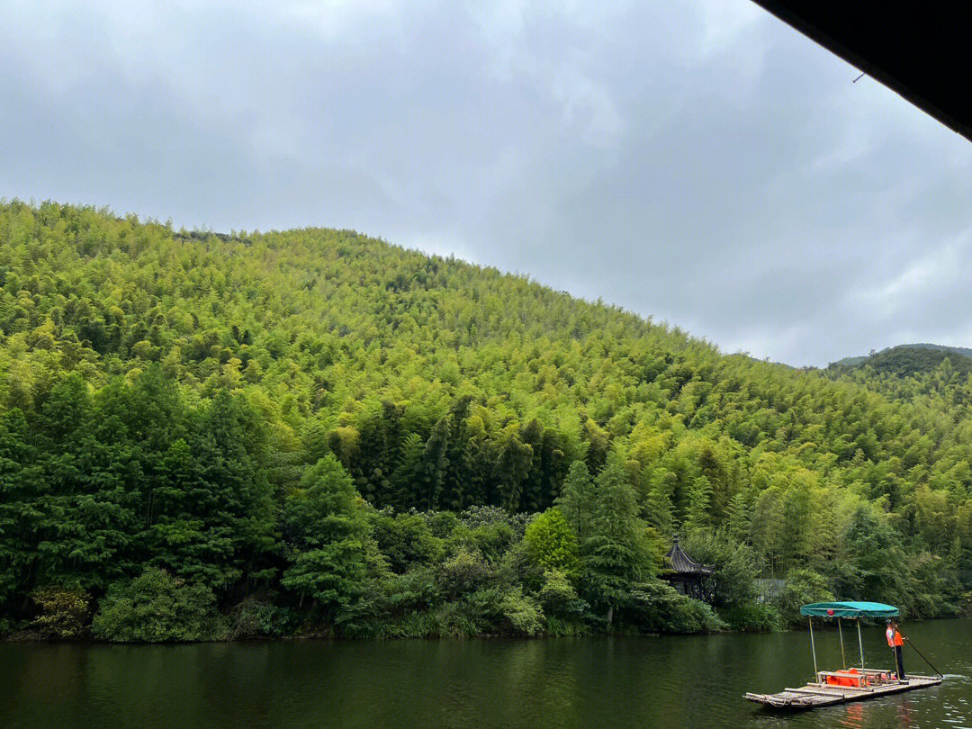 还有小鸟天堂,看到了好多种鸟,里面有个濒危和已灭绝鸟类的介绍,我