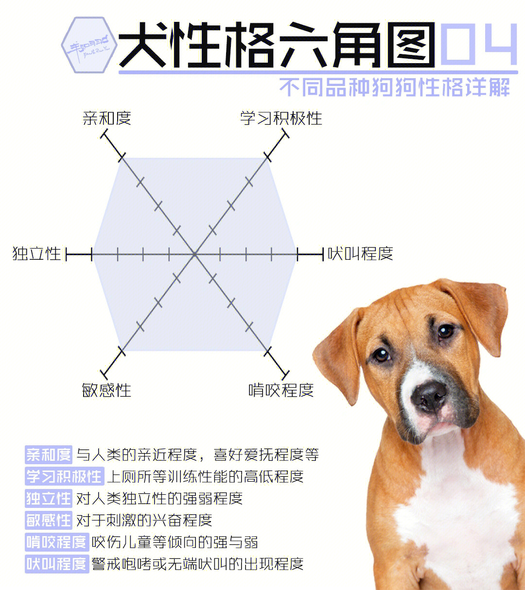 09犬性格六角图0495狗狗性格详解95