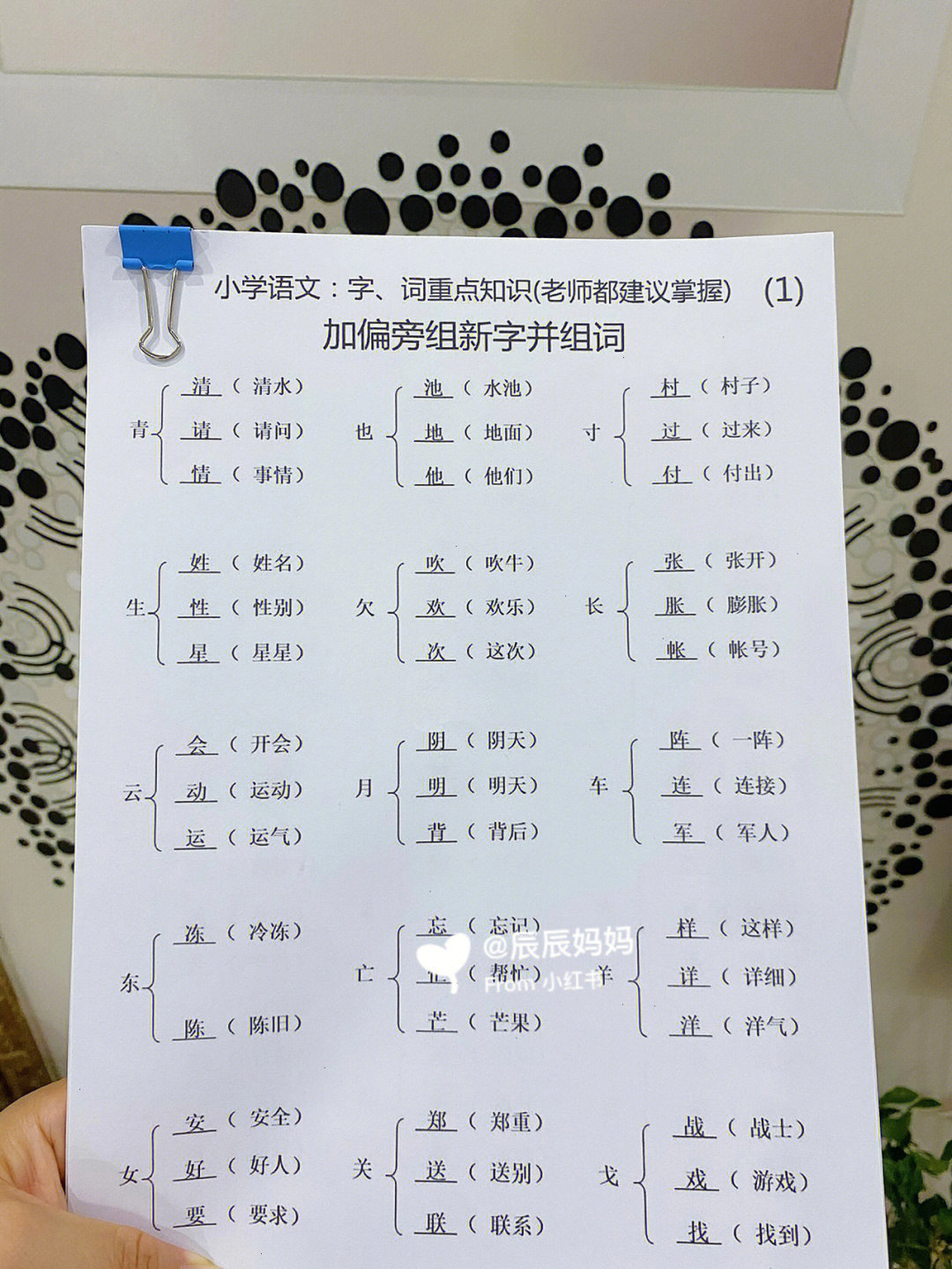 加偏旁组新字并组词