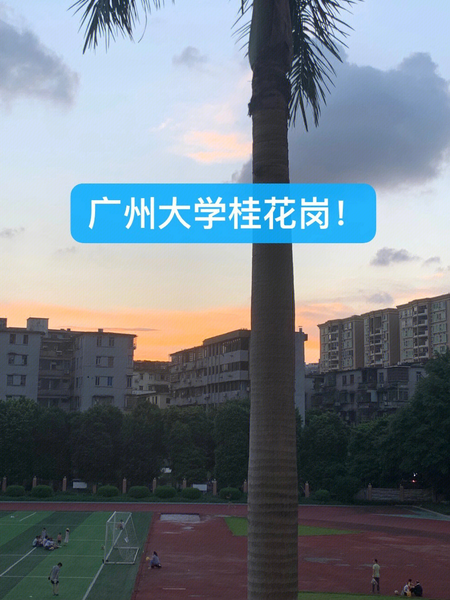 广州桂花岗大学图片