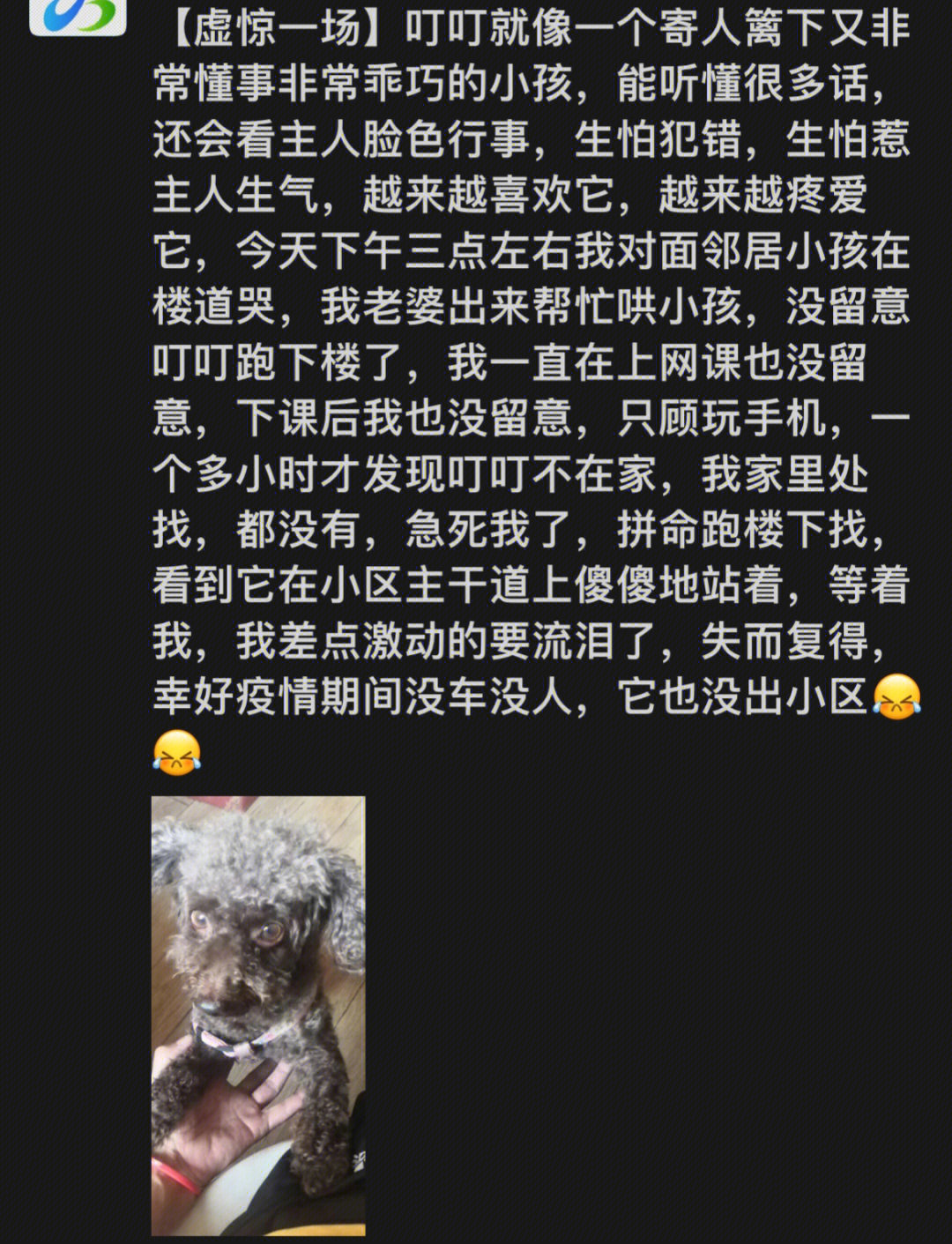 修狗儿差点走丢后我爹发的朋友圈