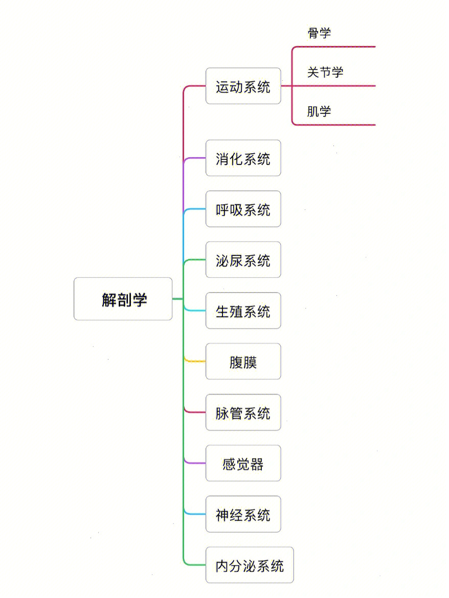 执业医解剖学运动系统关节学