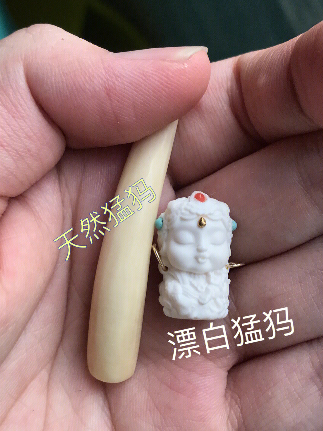 猛犸象牙变色过程图片