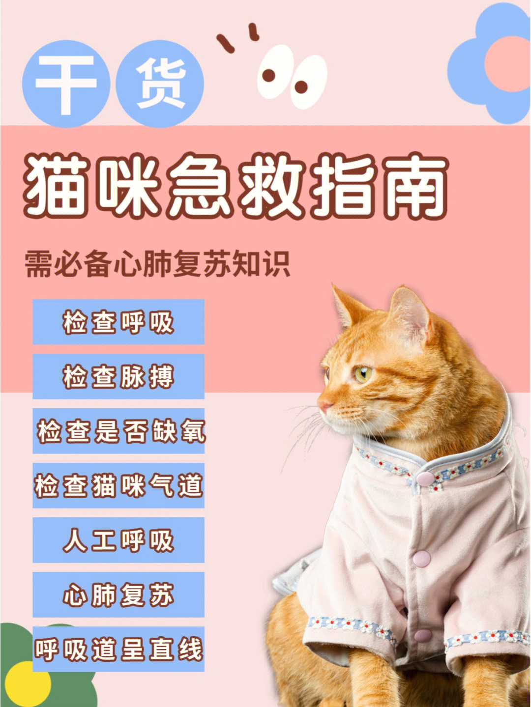 猫心脏在哪里图解图片