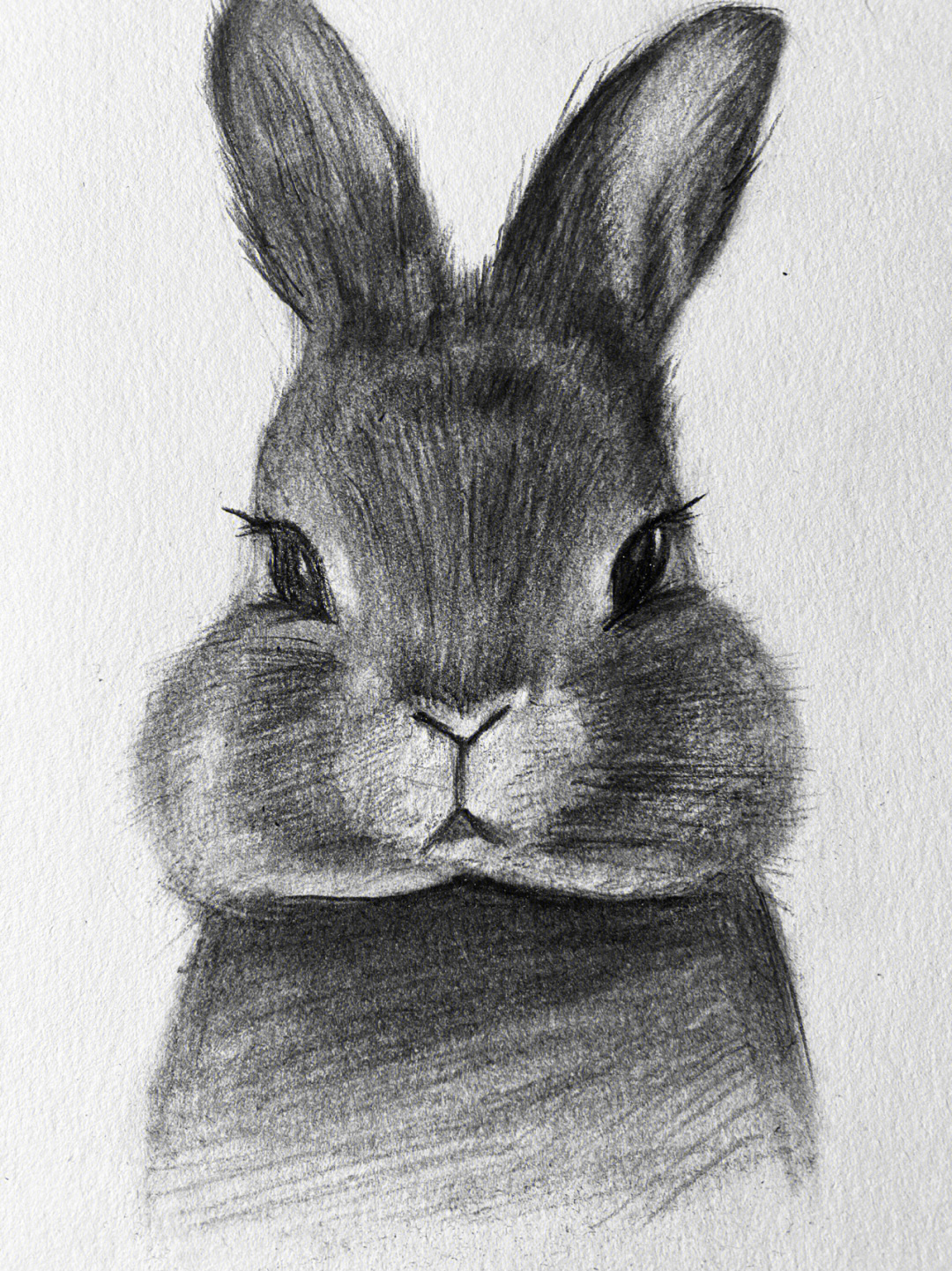 超级简单的素描画兔子图片