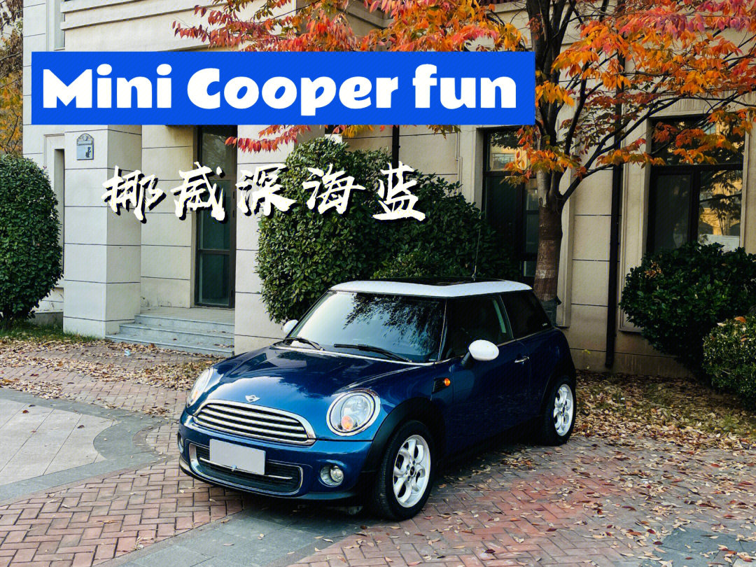 深海蓝拼白极品minir56