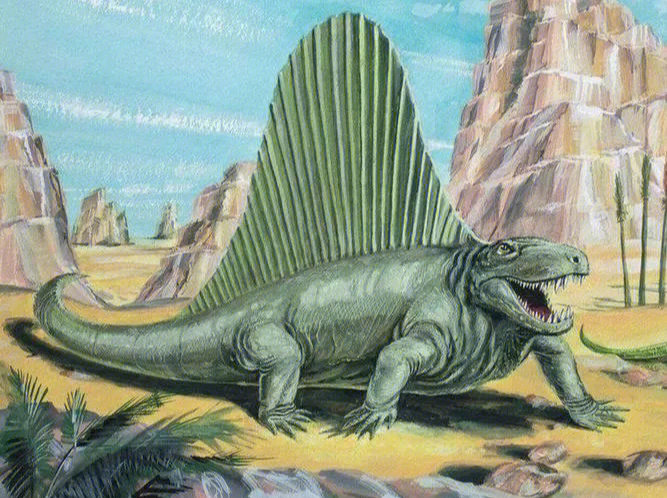 异齿龙与哺乳动物关系较近,与恐龙,蜥蜴,鸟类等的关系较远,它的化石在