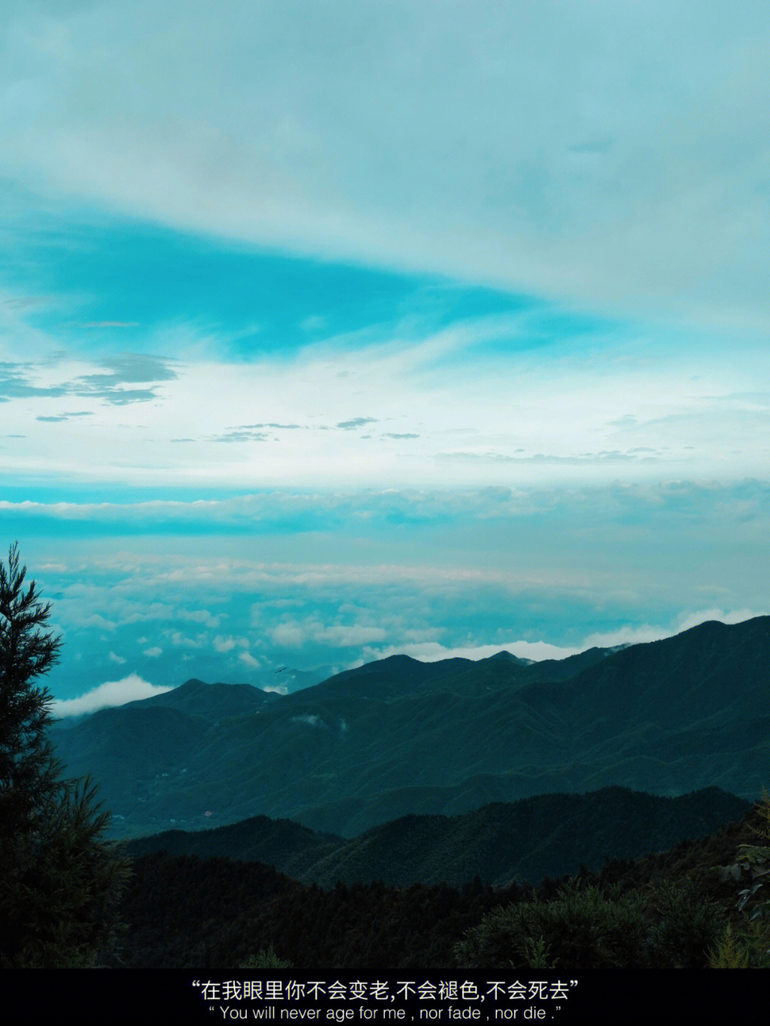 南岳衡山祝融峰顶风光