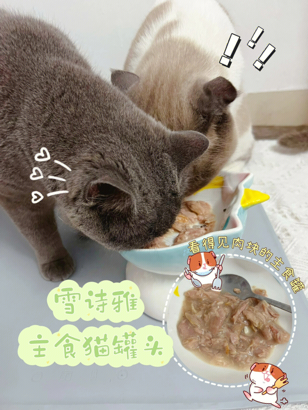 看得见大块肉肉的猫咪主食罐